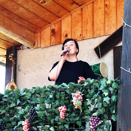 Nadia Guesthouse メスティア エクステリア 写真