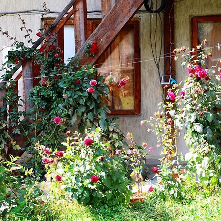 Nadia Guesthouse メスティア エクステリア 写真