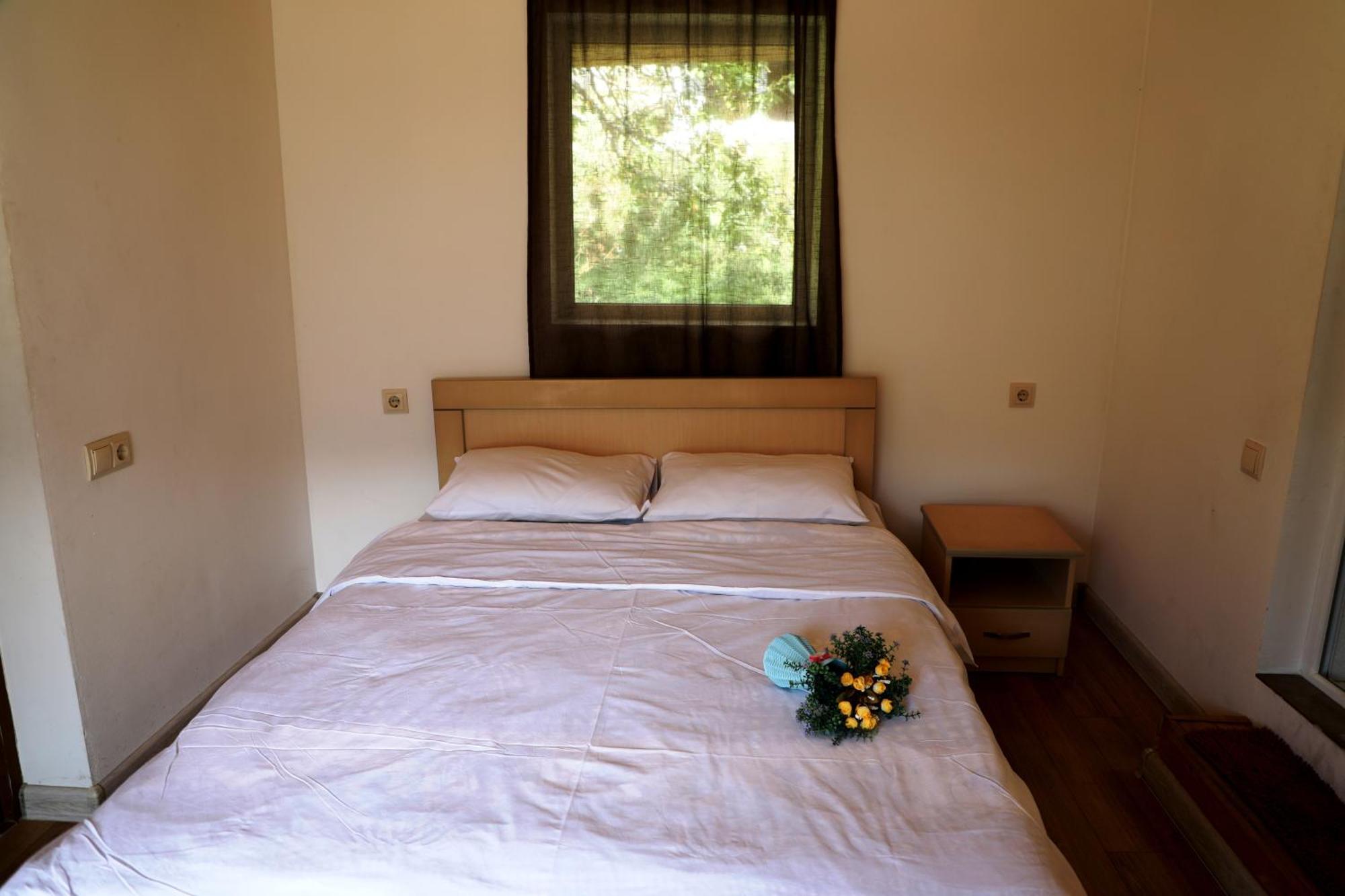 Nadia Guesthouse メスティア エクステリア 写真